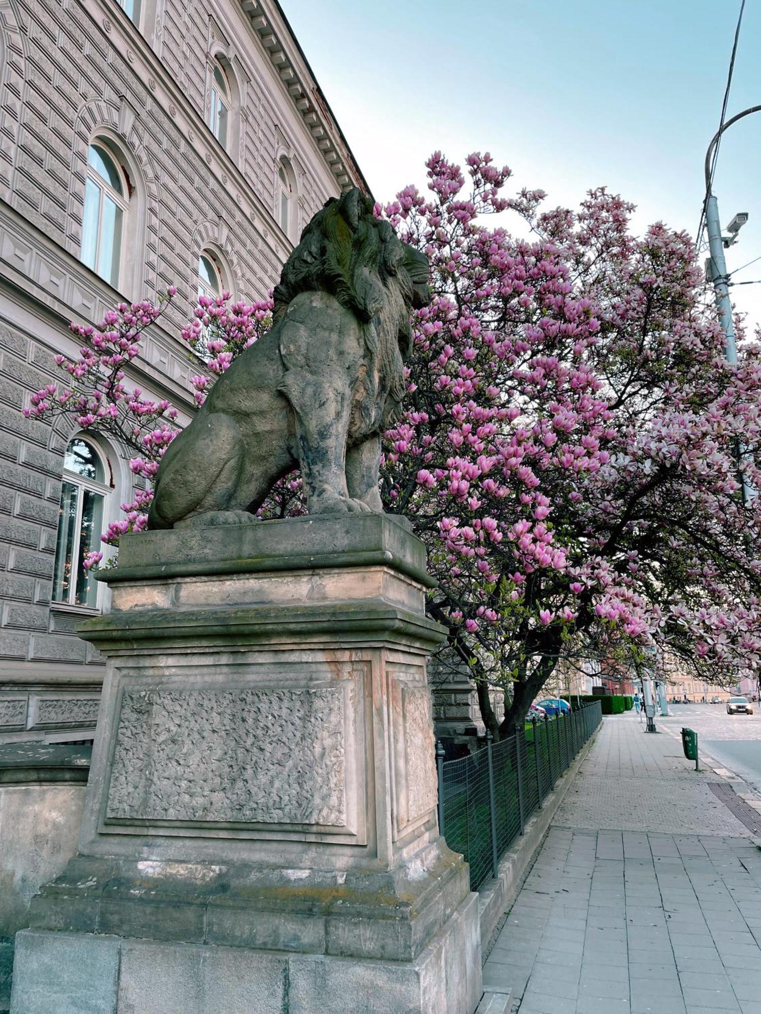 Pension Moravia Olomouc Dış mekan fotoğraf